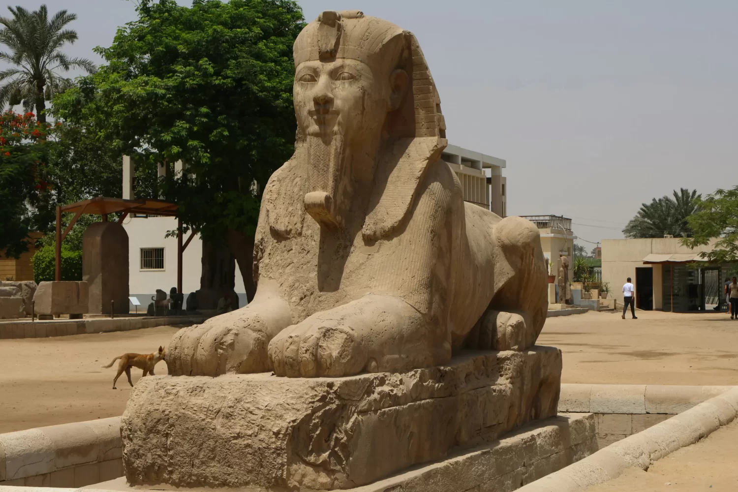 Tour a Menfis y Sakkara desde El Cairo de 1 Día, estatua del Gran Esfinge en la histórica Ciudad de Menfis, Egipto