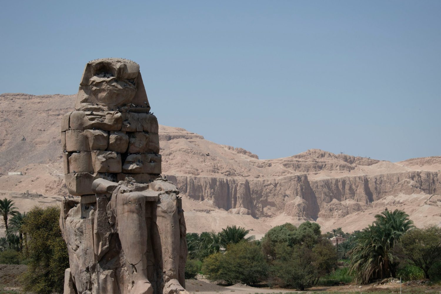 Safari por el Desierto Egipto: Admira los Colosos de Memnón en Luxor, monumentos faraónicos históricos, parte del crucero por el Nilo con guía en español.