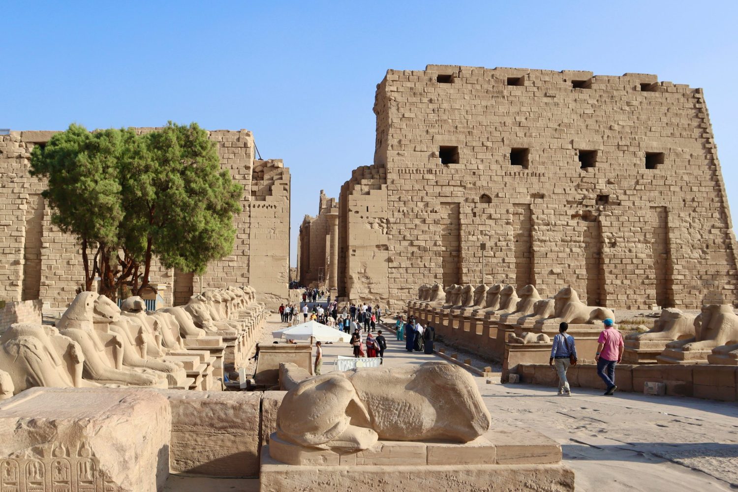 Tour a Luxor y Abu Simbel desde Bahía de Makadi en 2 Días – Templo de Karnak, complejo faraónico en Luxor