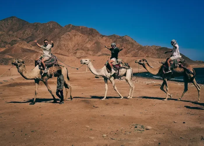 Safari por el Desierto de Dahab y Snorkel: turistas montando camellos durante un recorrido por el desierto de Dahab.