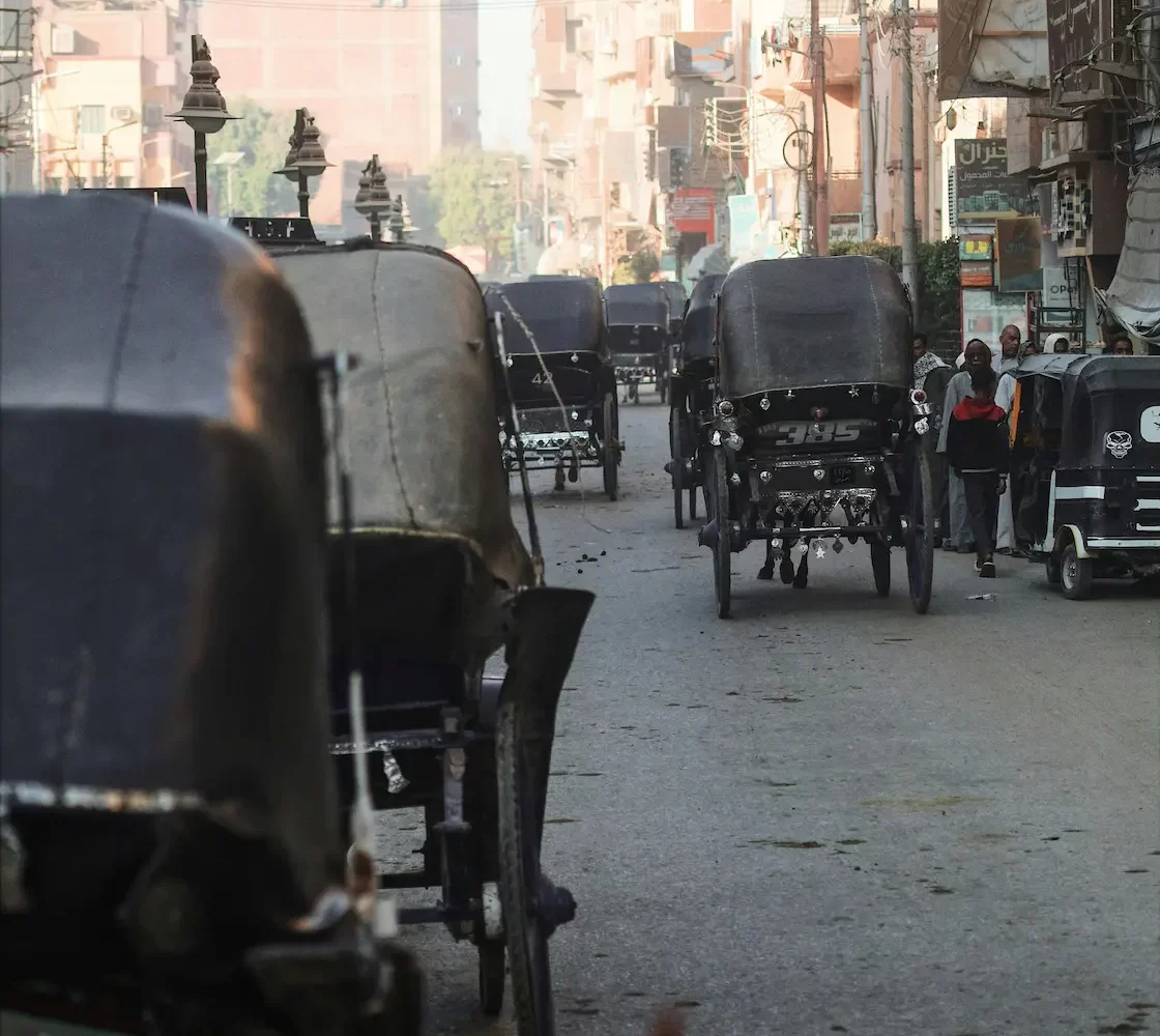 Paseo en Carruaje de Caballos por Asuán: experiencia cultural tradicional en Asuán