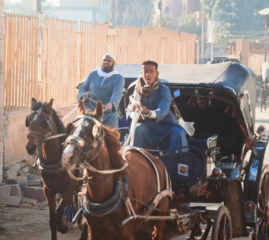 Paseo en Carruaje de Caballos por Asuán: recorrido tradicional en carruaje por las calles de Asuán