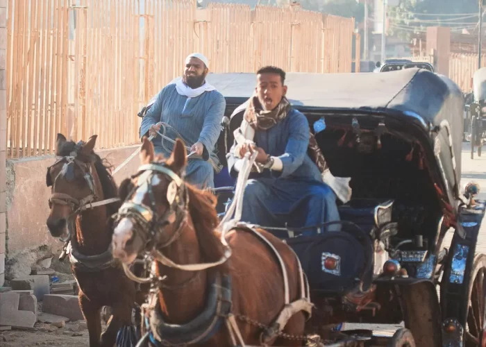 Tour en Carruaje de Caballos en Luxor: Recorrido nocturno por las calles históricas de Luxor en carruaje de caballos, mostrando la vida urbana, bazares tradicionales y la experiencia cultural auténtica.