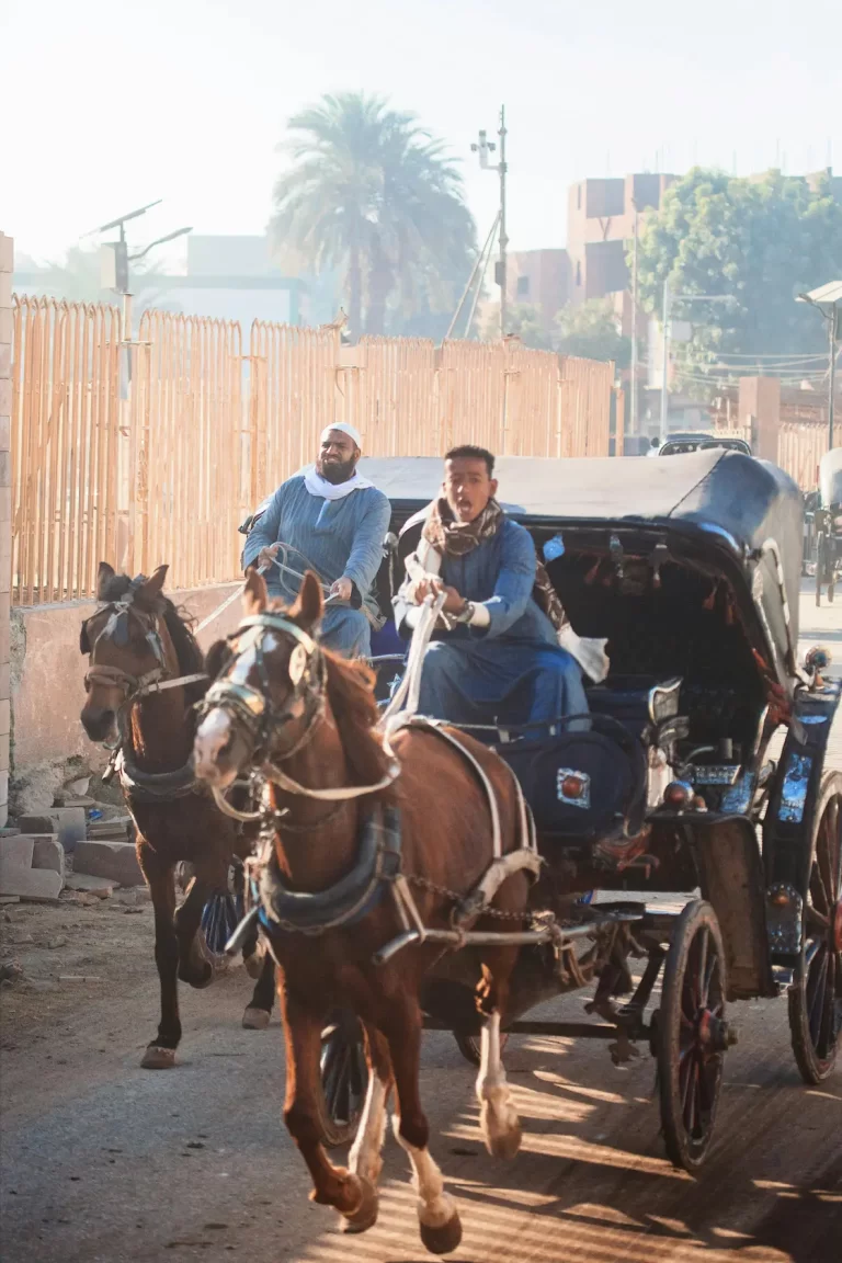 Tour en Carruaje de Caballos en Luxor: Recorrido nocturno por las calles históricas de Luxor en carruaje de caballos, mostrando la vida urbana, bazares tradicionales y la experiencia cultural auténtica.