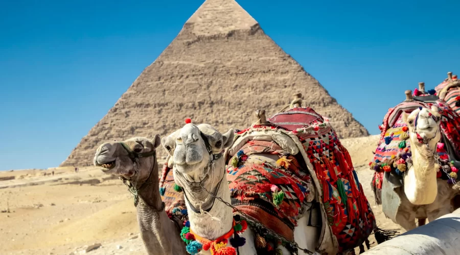 El Clima de Egipto muestra la Gran Pirámide de Giza, ideal para visitar durante días templados y soleados