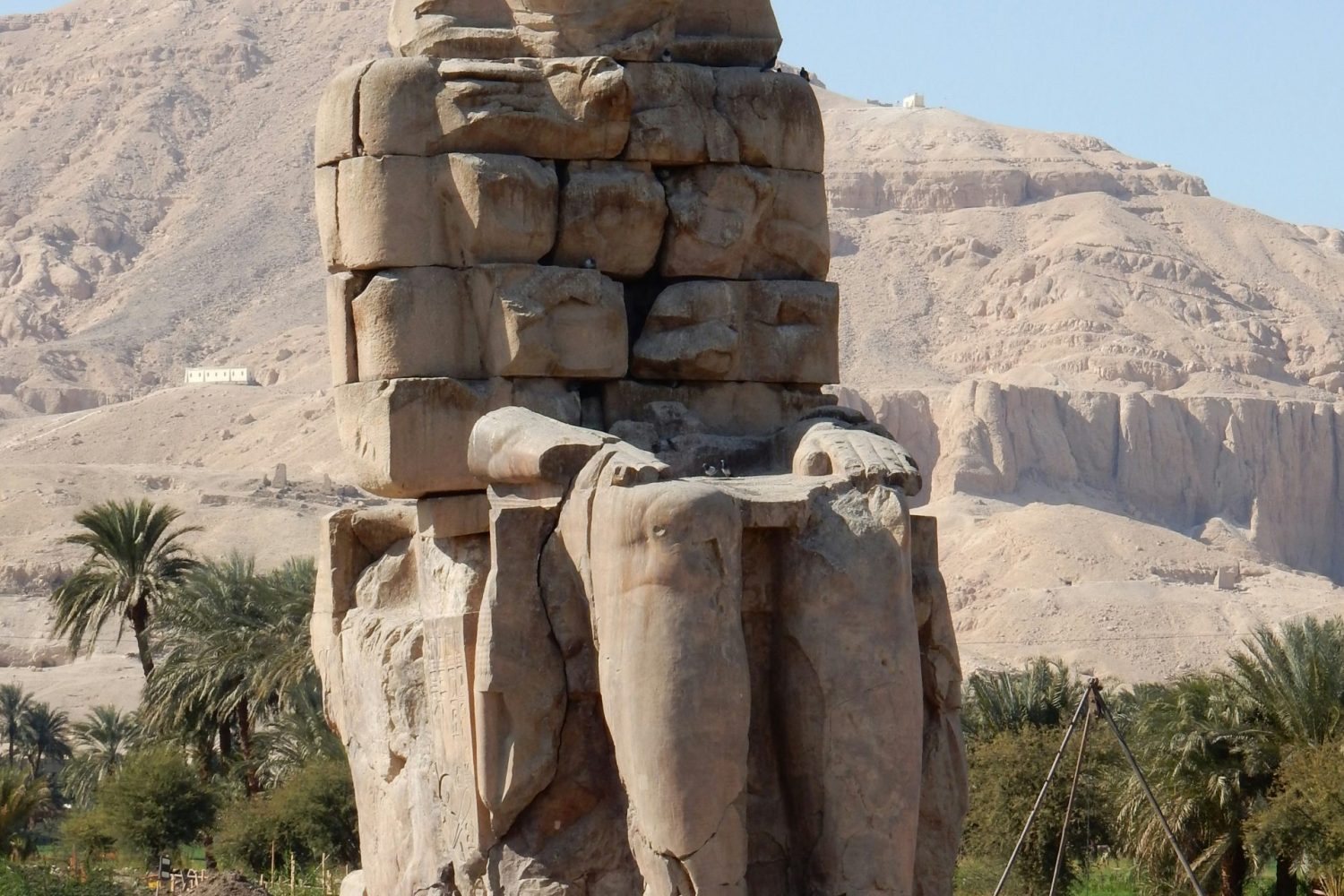 Viaje a Egipto por 9 Días: Estatua de Memnón en Luxor