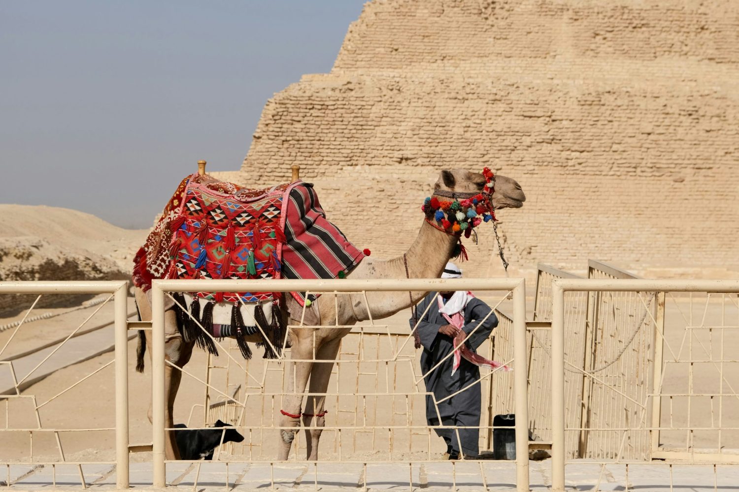 Excursión a El Cairo y Guiza desde Makadi en 2 Días: Pirámide Escalonada de Saqqara, el inicio de la arquitectura faraónica en Egipto
