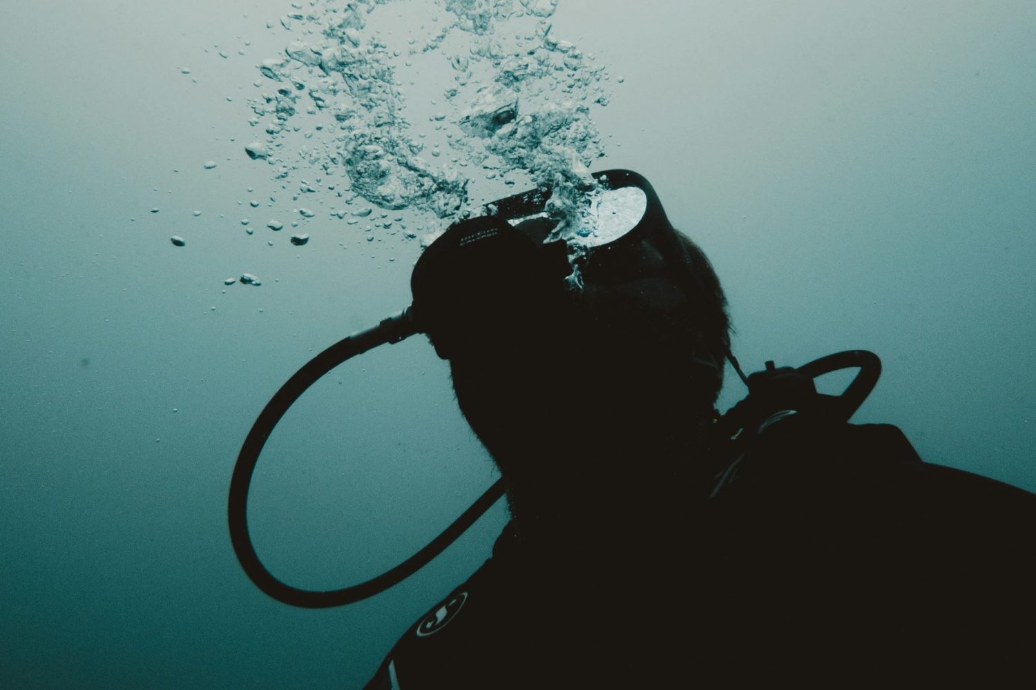Snorkeling del Mar Rojo en Makadi: persona buceando y disfrutando de los arrecifes y la vida marina
