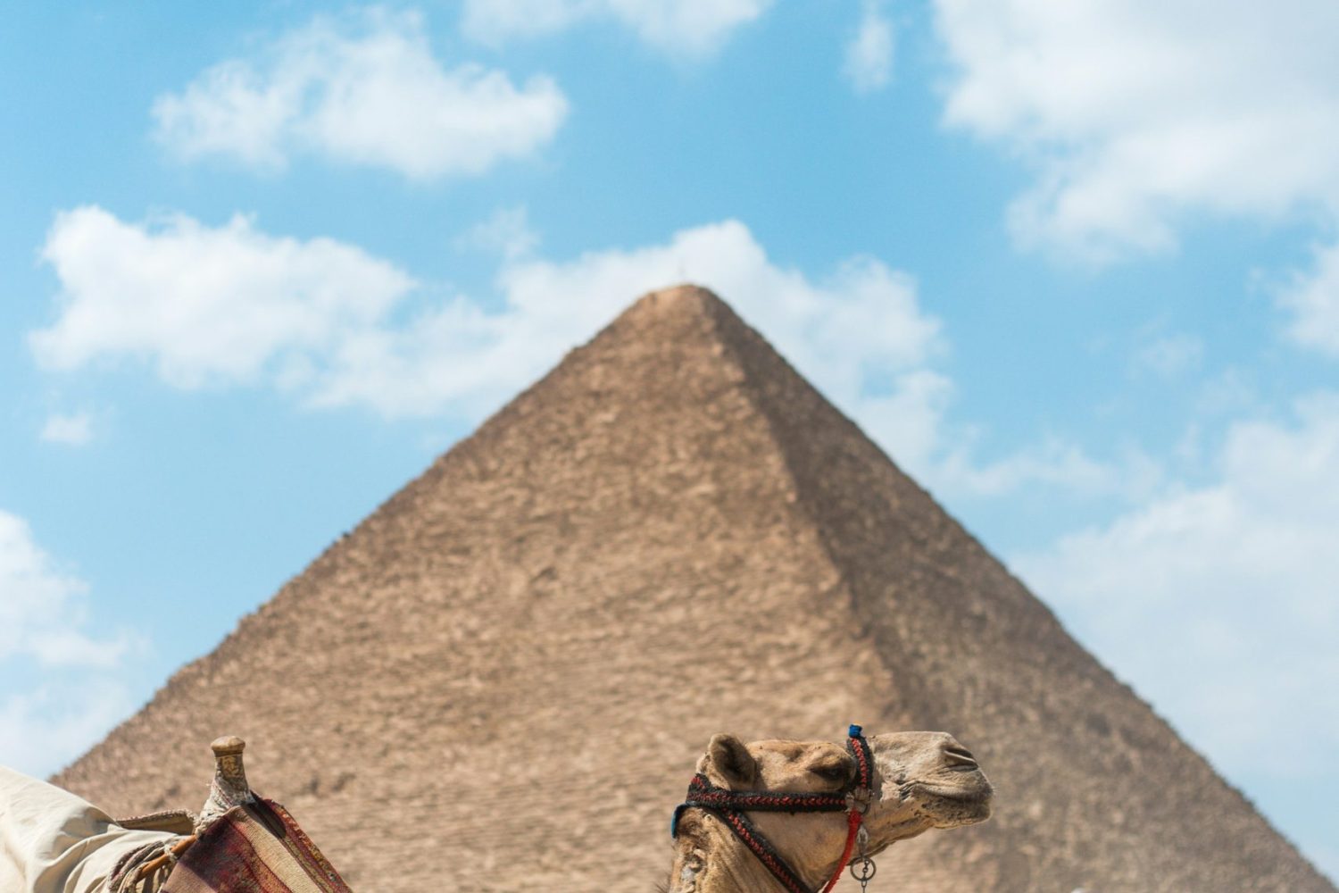 Viaje a El Cairo y Guiza desde Makadi: Gran Esfinge de Giza observada durante excursión privada