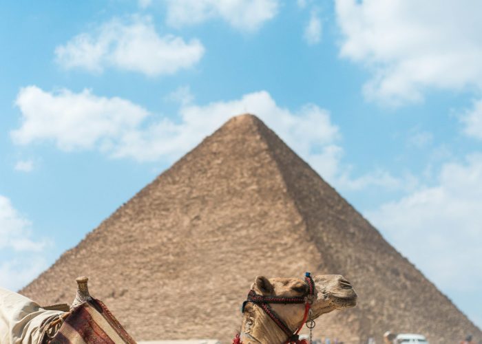 Viaje a El Cairo y Guiza desde Makadi: Gran Esfinge de Giza observada durante excursión privada