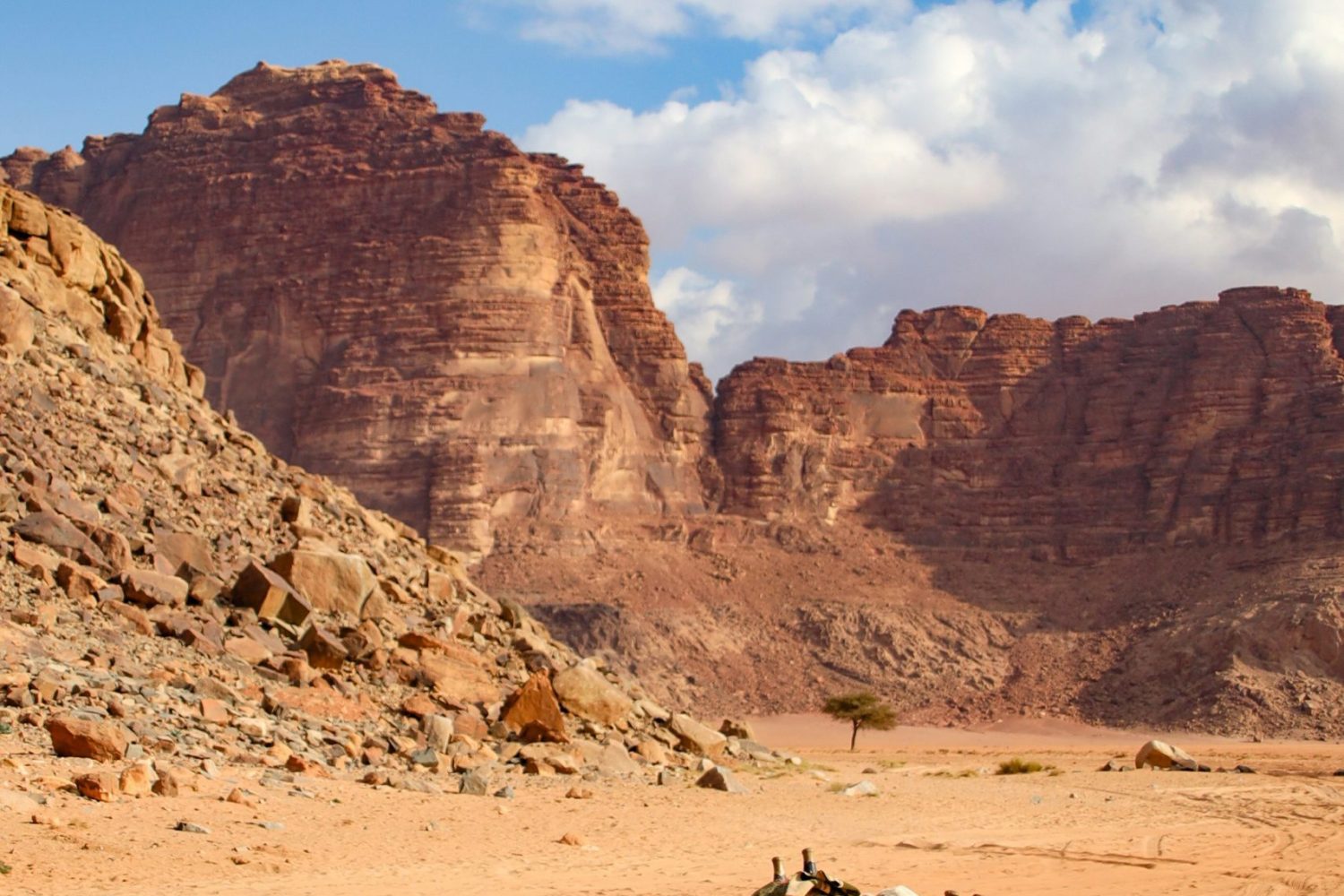 Safari en el Desierto de Makadi Por 1 Día: Paseo en camello por las dunas – Experiencia única en el desierto