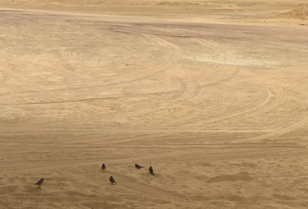 visitar El Fayum egipto